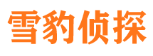 蚌山捉小三公司